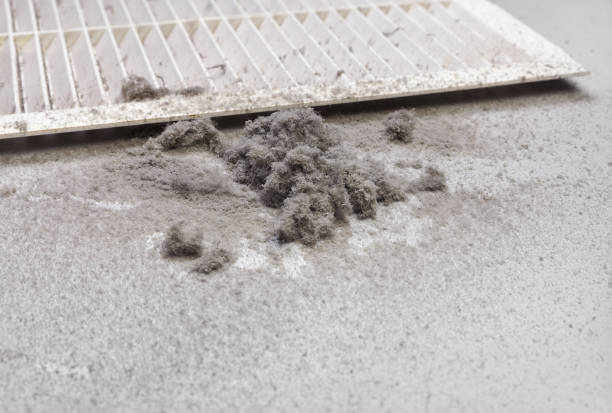 Best Local Air Duct Cleaning Services  in Cricket, NC
