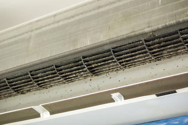 Best Air Duct Cleaning Near Me  in Cricket, NC